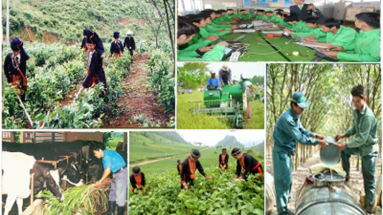 Đào tạo nghề góp phần cải thiện đời sống cho lao động nông thôn